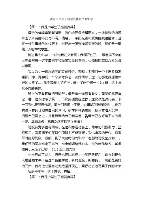 我是中学生了感觉真棒作文800字_作文范文_