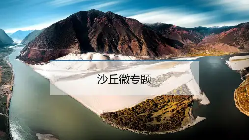 高考地理二轮复习课件沙丘微专题