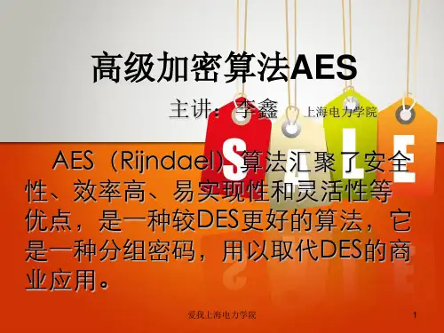 AES算法结构ppt