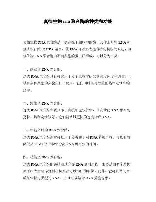 真核生物rna聚合酶的种类和功能