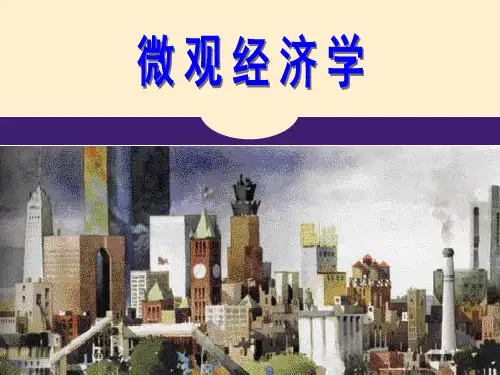 第七章-市场失灵与政府干预-公共物品和公共资源(ppt文档可编辑修改)