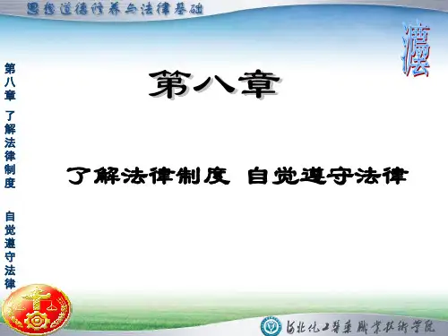 我国的实体法律制度与程序法律制度(ppt 182页)