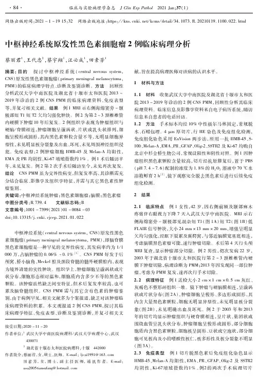 中枢神经系统原发性黑色素细胞瘤2例临床病理分析