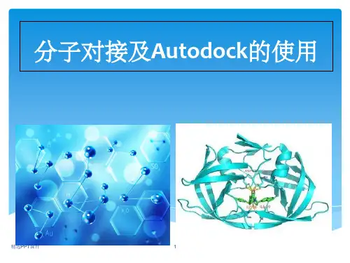 分子对接的原理,方法及应用ppt课件