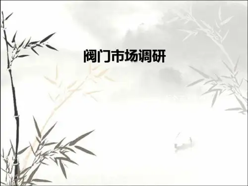 阀门市场报告 PPT