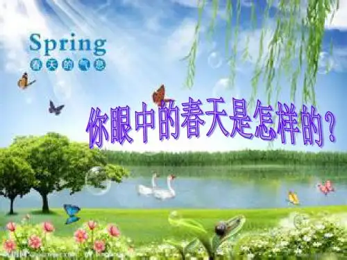 触摸春天完美版课件.ppt