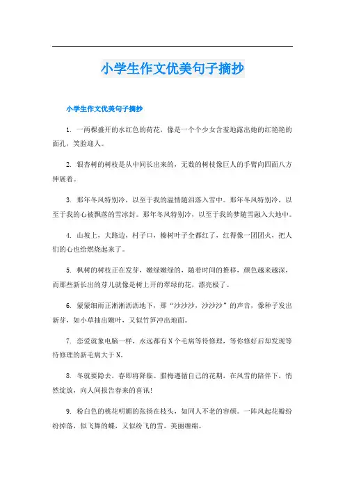 小学生作文优美句子摘抄