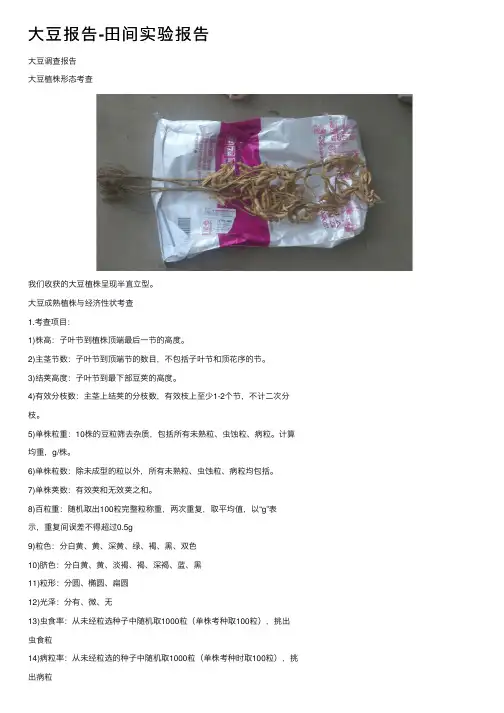 大豆报告-田间实验报告