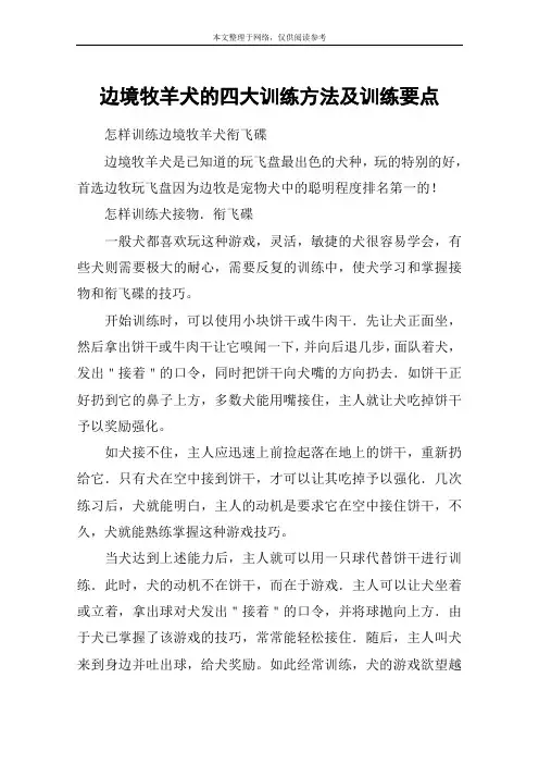 边境牧羊犬的四大训练方法及训练要点