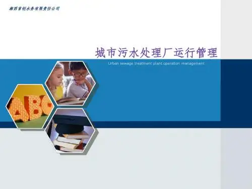 城市污水处理厂运行管理-PPT课件