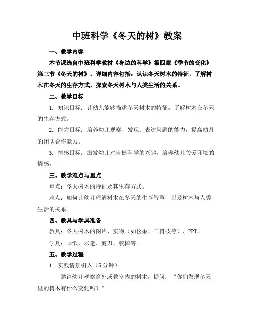 中班科学《冬天的树》教案