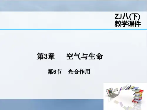 浙教版科学八年级下册第6节光合作用课件