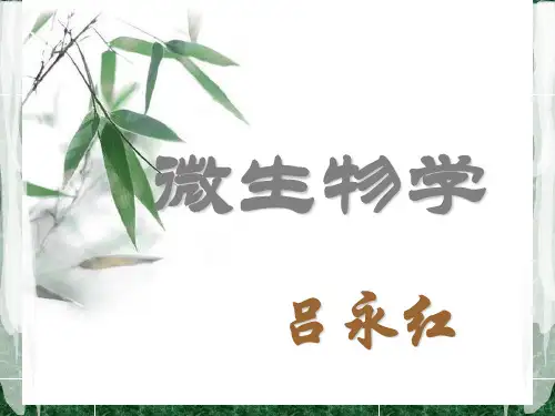 微生物学营养