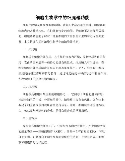 细胞生物学中的细胞器功能