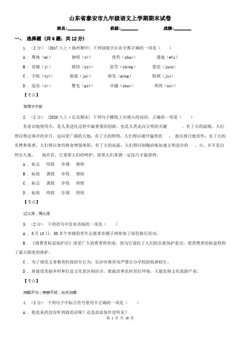 山东省泰安市九年级语文上学期期末试卷