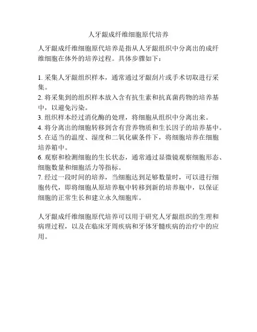 人牙龈成纤维细胞原代培养