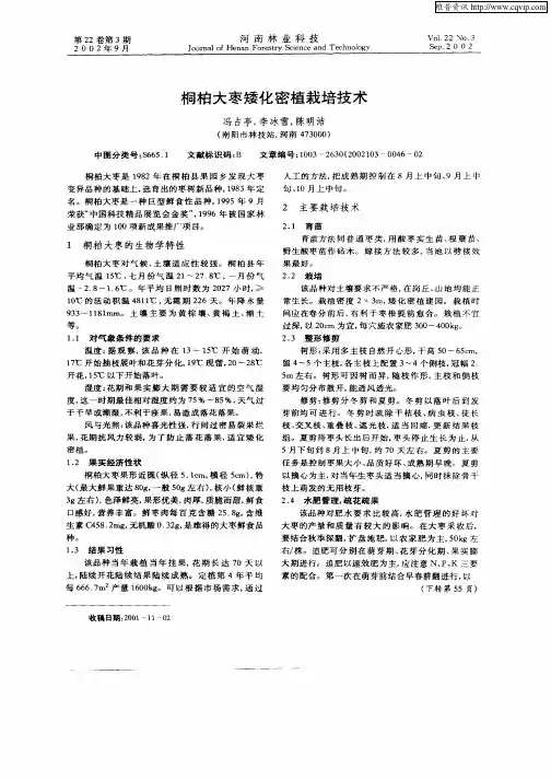 桐柏大枣矮化密植栽培技术