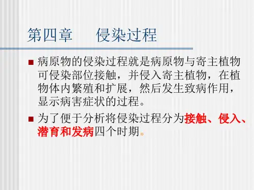 第四章  侵染过程
