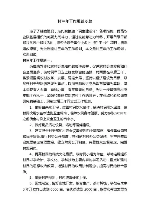 村三年工作规划6篇