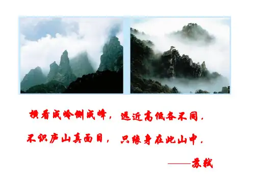 主视图、左视图、俯视图(1)