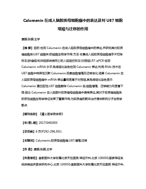 Calumenin在成人脑胶质母细胞瘤中的表达及对U87细胞增殖与迁移的作用