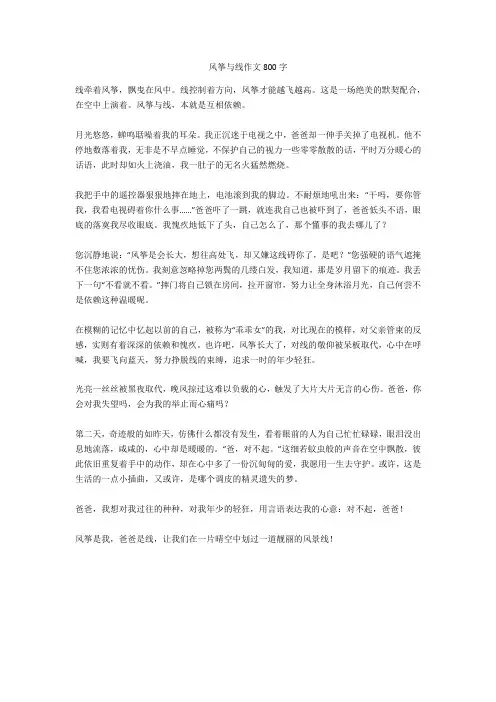 风筝与线作文800字-21高分作文
