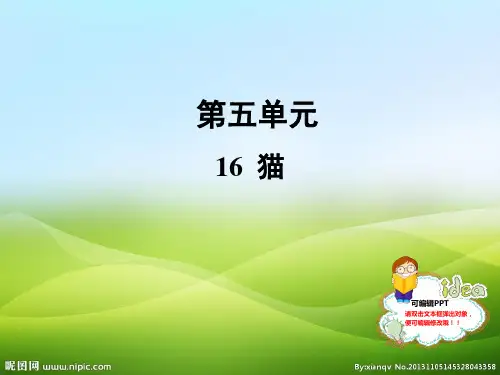 人教部编版七年级语文上册课件：16 猫 (共36张PPT)(优质版推荐)