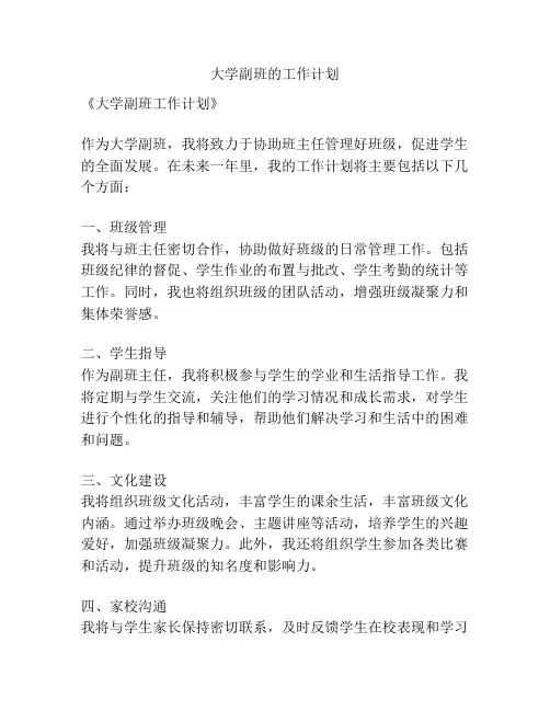大学副班的工作计划