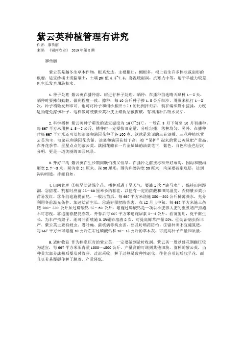 紫云英种植管理有讲究