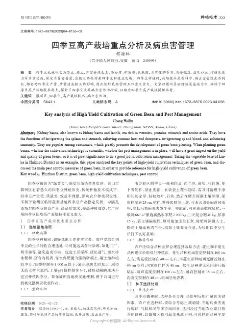 四季豆高产栽培重点分析及病虫害管理