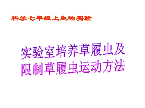 草履虫培养实验