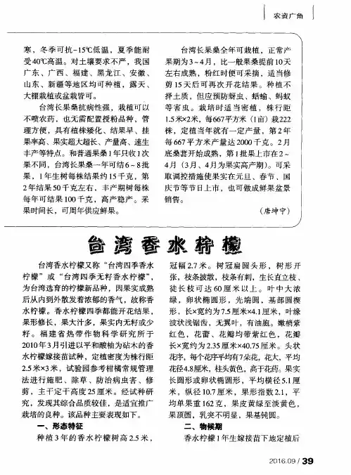 台湾香水柠檬