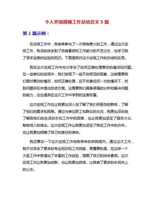 个人参加巡视工作总结范文5篇