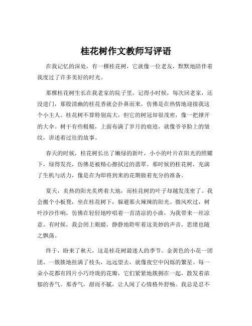 桂花树作文教师写评语