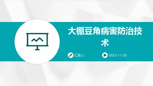 大棚豆角病害防治技术