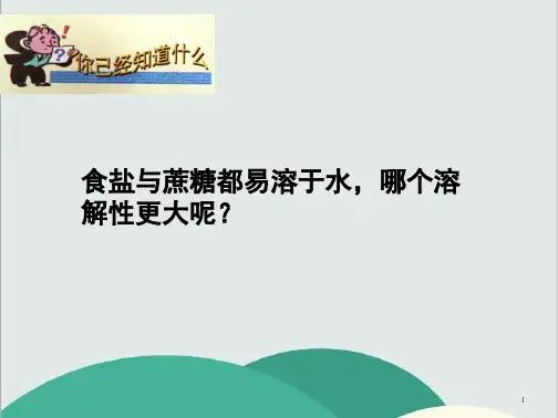 湘教版九年级化学上册《单元2 物质的溶解性》PPT高效课堂 获奖课件 (1)(vip免费)