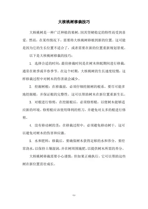 大核桃树移栽技巧