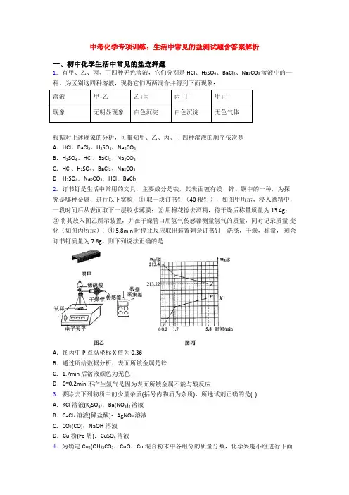 中考化学专项训练：生活中常见的盐测试题含答案解析