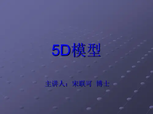 5D模型