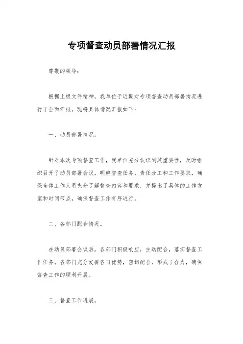 专项督查动员部署情况汇报