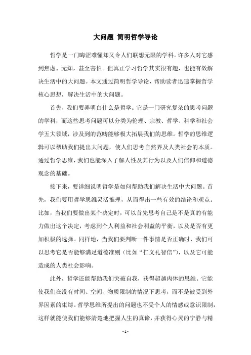 大问题 简明哲学导论