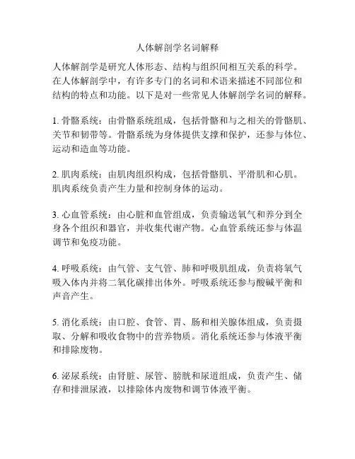 人体解剖学名词解释