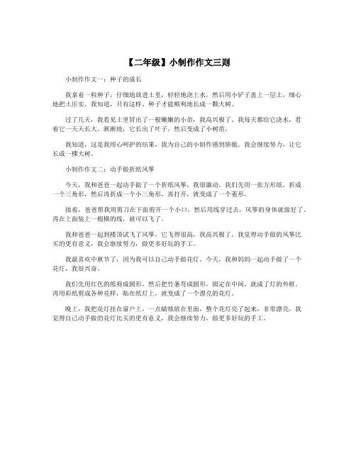 【二年级】小制作作文三则