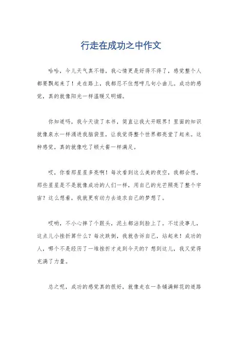 行走在成功之中作文