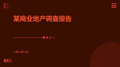 某商业地产调查报告