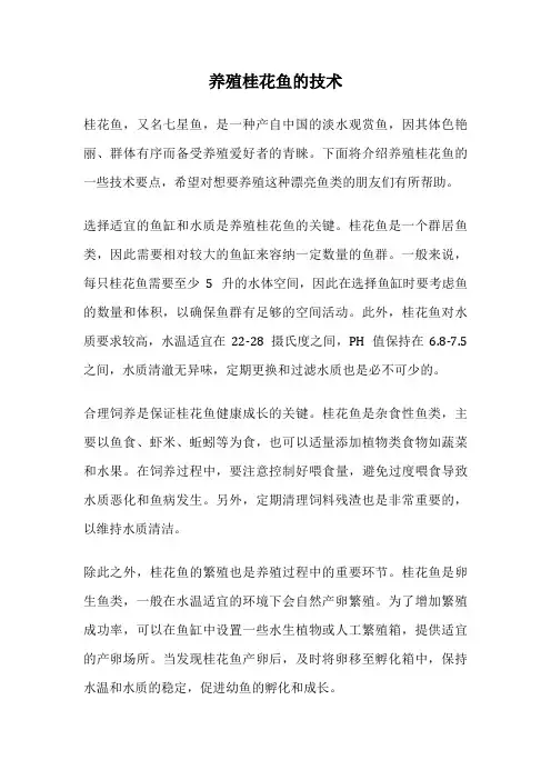 养殖桂花鱼的技术