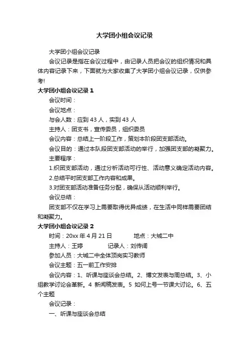 大学团小组会议记录