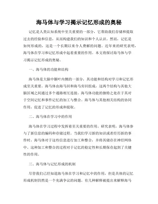 海马体与学习揭示记忆形成的奥秘