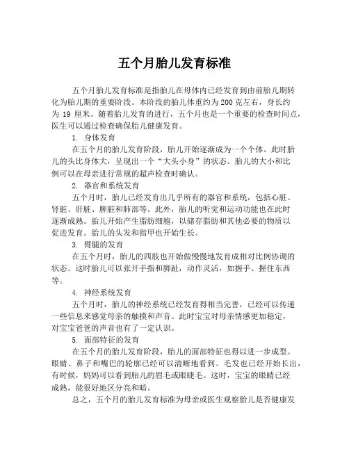 五个月胎儿发育标准