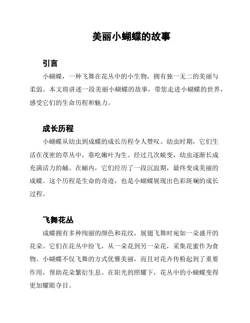 美丽小蝴蝶的故事
